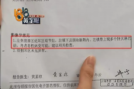 察布查尔债务清欠服务