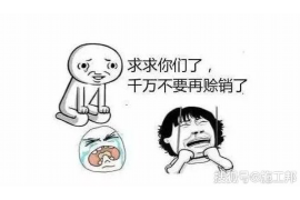 察布查尔贷款清欠服务